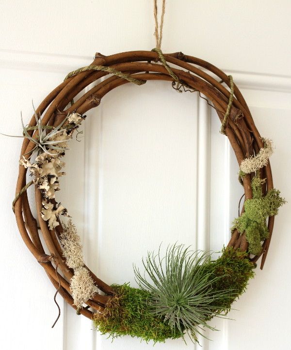 Air plant wreath