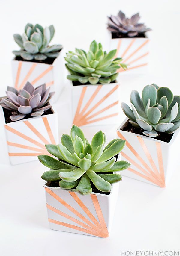 Copper white succulent planters