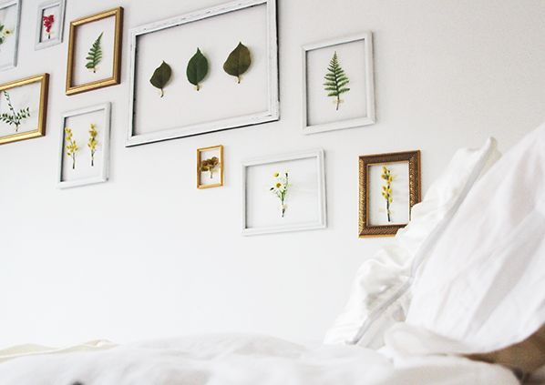 Diy botanical wall