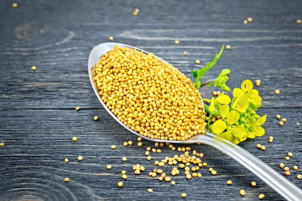Mustard seeds