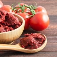 best tomato paste substitute ideas